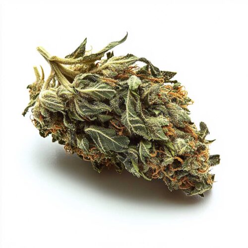 Sour D 24