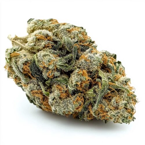 Tropical Sherbz