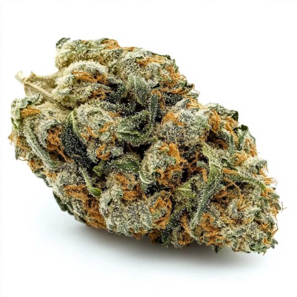 Tropical Sherbz