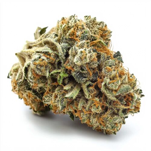 Lemon Cherry Gelato - 24/1 OTA