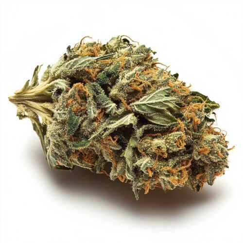 White Sun Widow