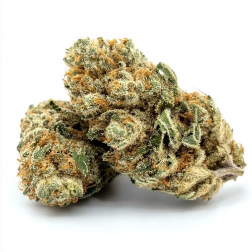 Master Kush