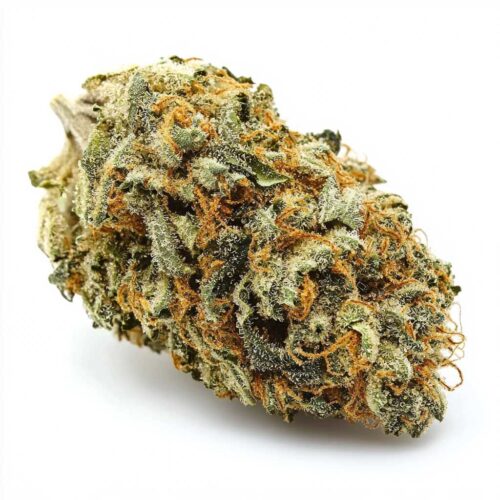 Gorilla Glue - T03