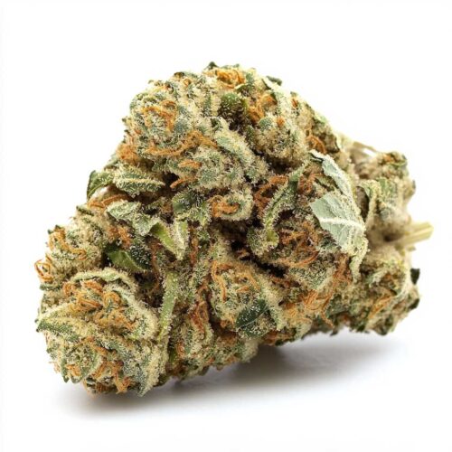 Super Lemon Haze - SLH 24/1