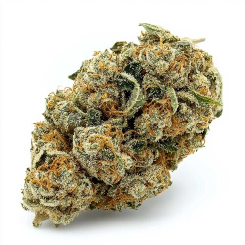 Blueberry - 24/1 OTA