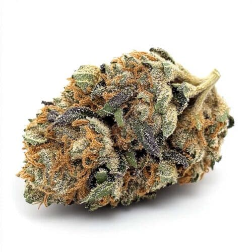 Ice Cream Cake - 27/1